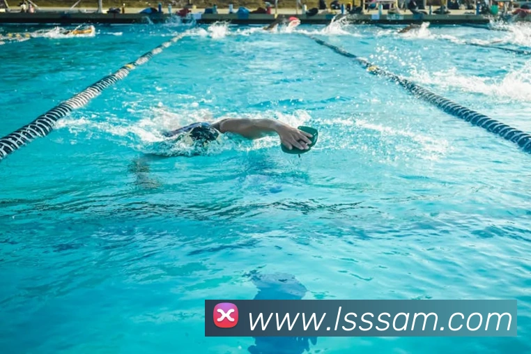 奖项证书